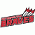 team logo