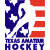 Texas Amateur Hockey Association league logo