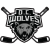 team logo - click for team page