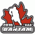 All-Ontario Bantam AAA Championship league logo