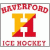 Team Logo
