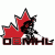Ottawa B League league logo